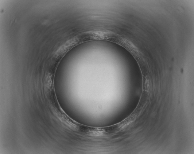 X0000086070318200703301113