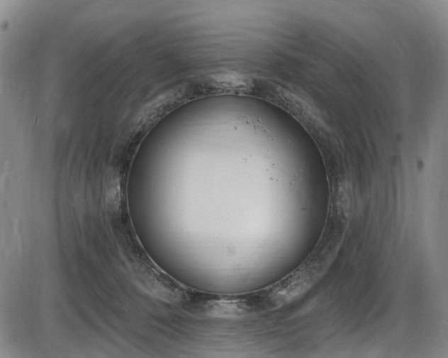 X0000086070320200703301113