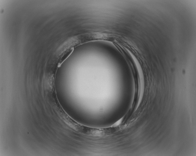 X0000086070325200703301113