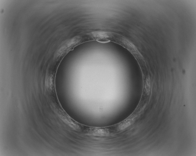 X0000086070330200703301113