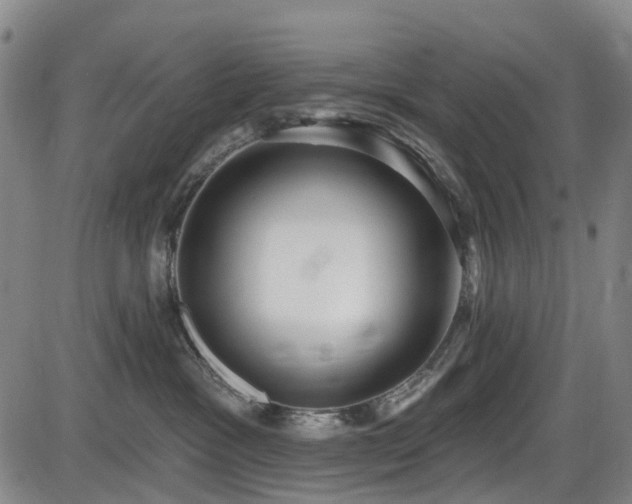 X0000086070333200703301113