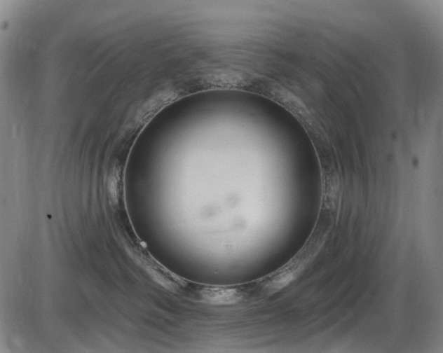 X0000086070334200703301113