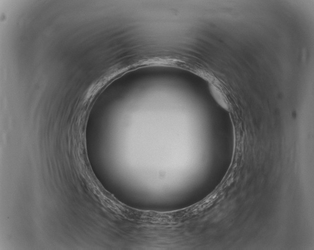 X0000086070337200703301112
