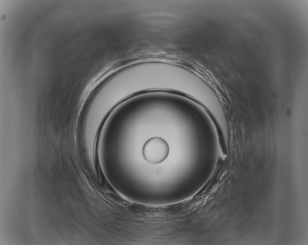 X0000086070344200703301112