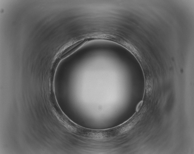 X0000086070349200703301112
