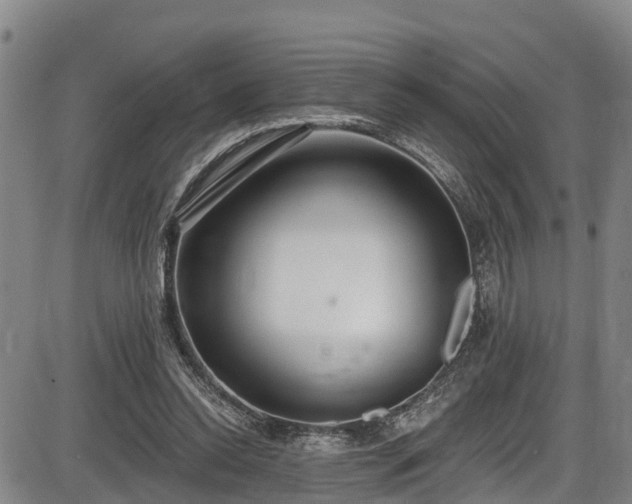 X0000086070350200703301112