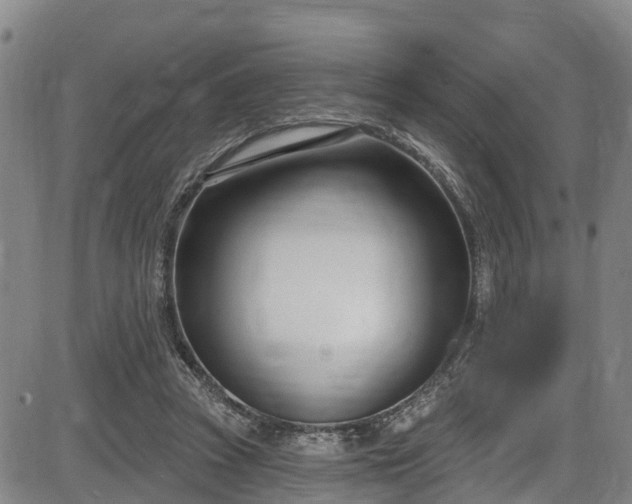 X0000086070353200703301112