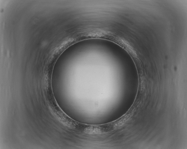 X0000086070354200703301112