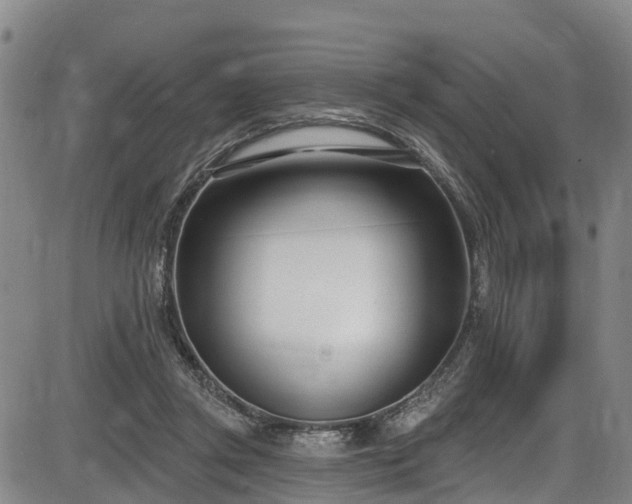 X0000086070357200703301112