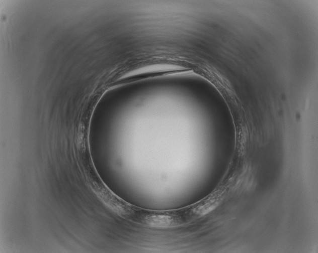X0000086070361200703301112