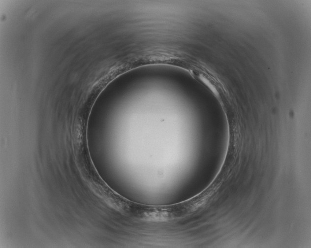 X0000086070362200703301112