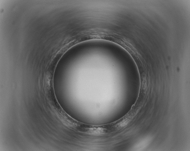 X0000086070363200703301112