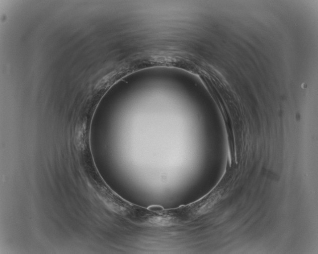 X0000086070364200703301112