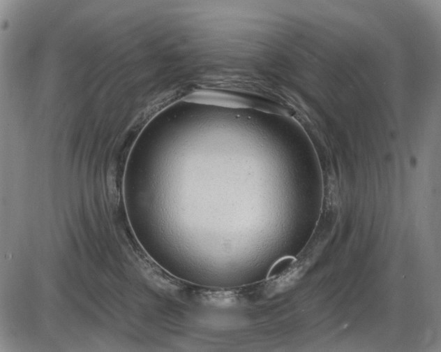 X0000086070377200703301112