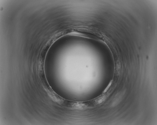 X0000086070379200703301112