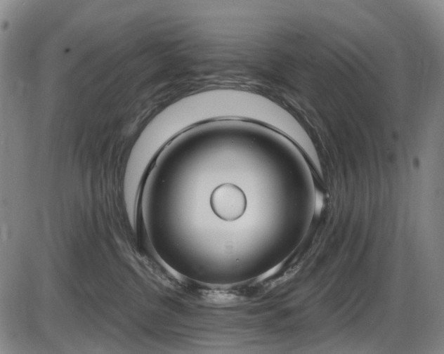 X0000086070380200703301112