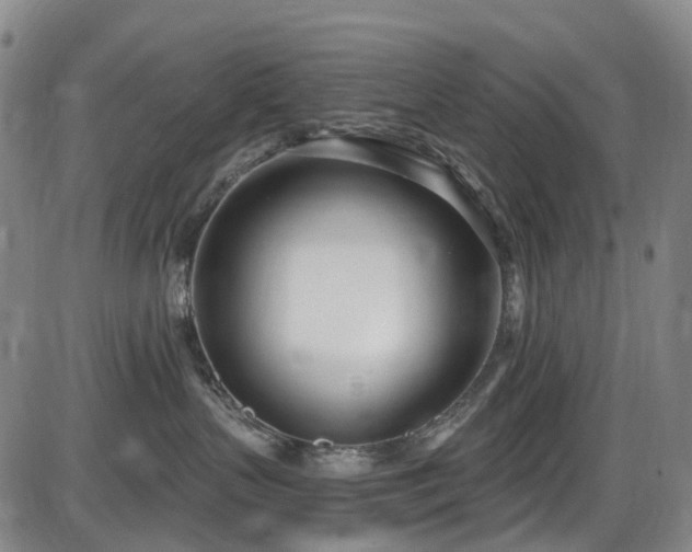 X0000086070383200703301113
