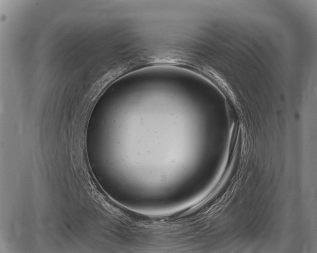 X0000086070385200703301112