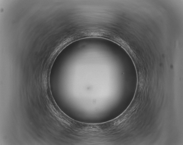X0000086070386200703301112
