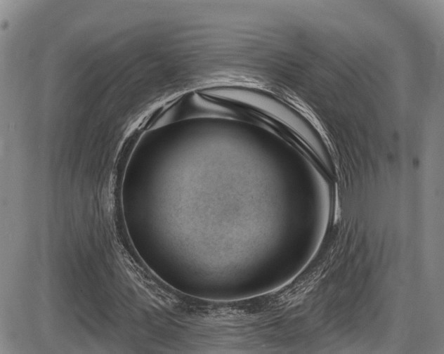 X0000086070387200703301112