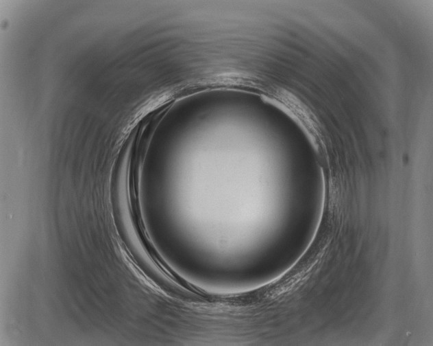 X0000086070389200703301112