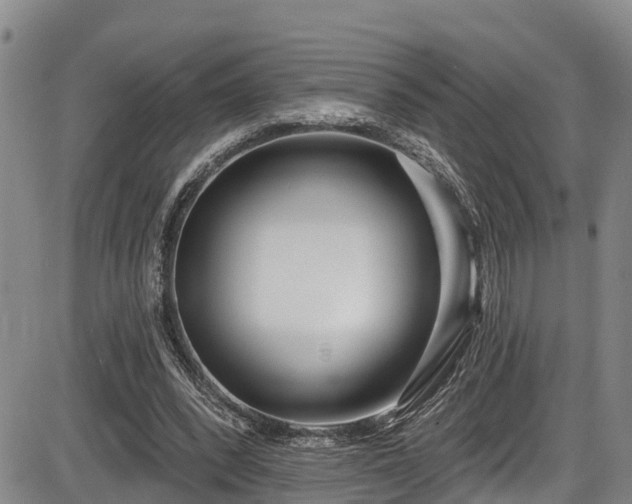 X0000086070392200703301112
