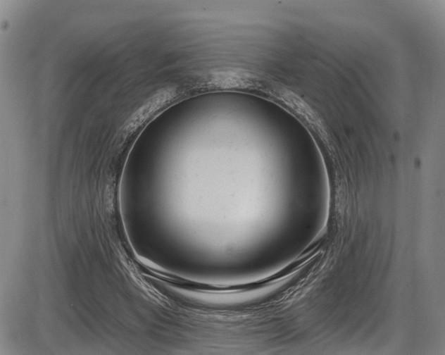 X0000086070393200703301112