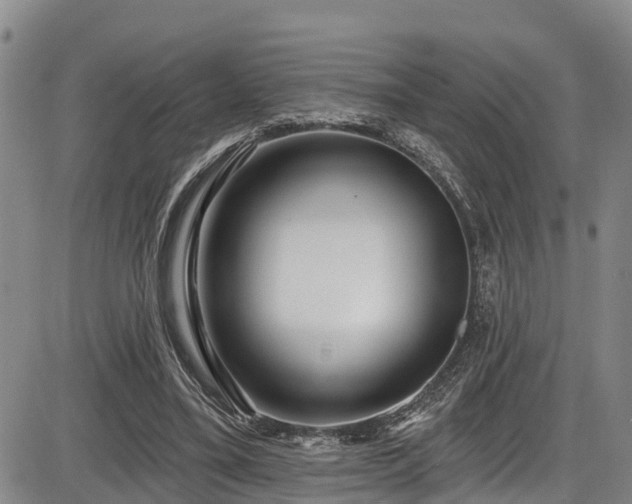 X0000086070395200703301112