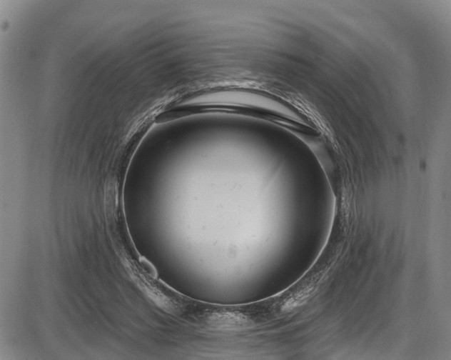X0000086070397200703301112