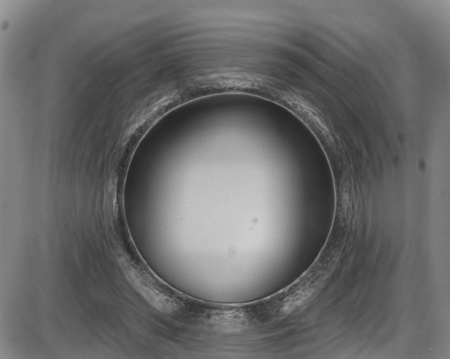 X0000086070398200703301112