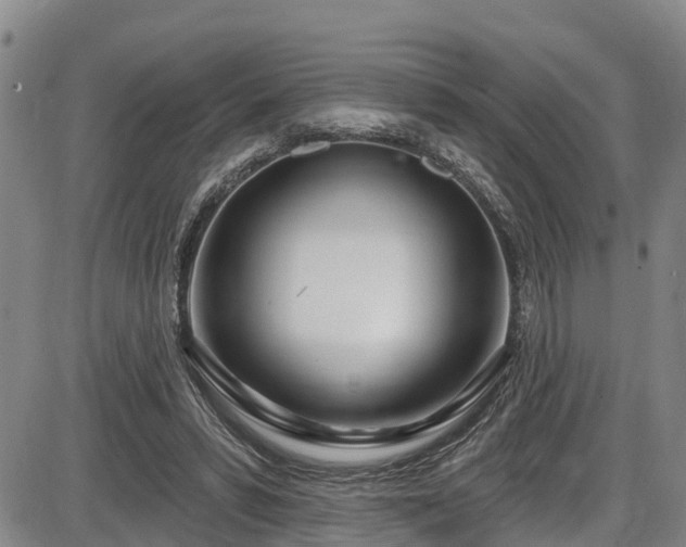 X0000086070399200703301111