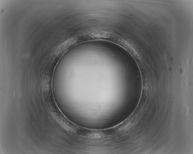 X0000086070402200703301111
