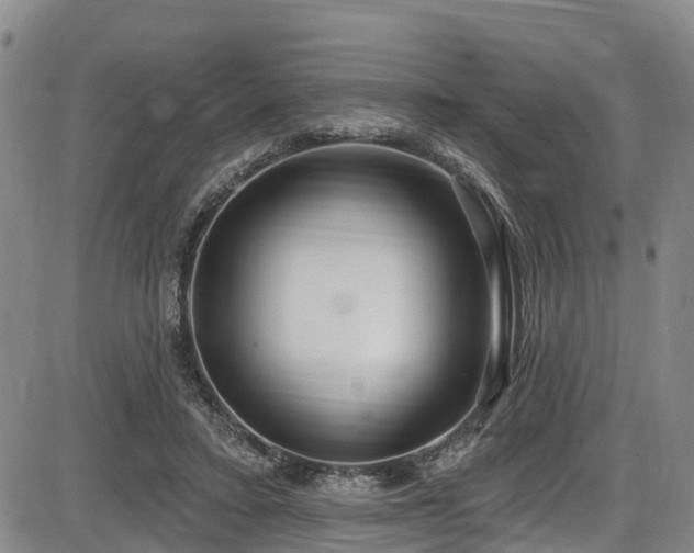 X0000086070403200703301111