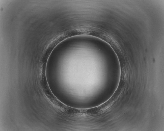 X0000086070404200703301111