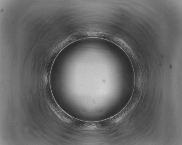 X0000086070405200703301111
