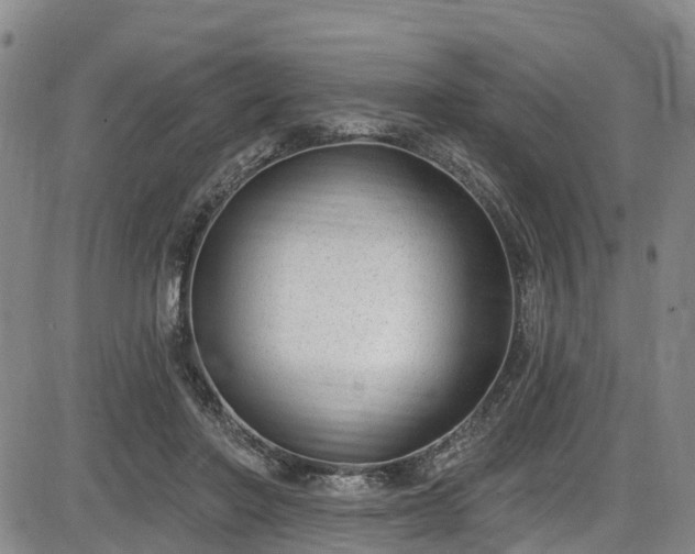 X0000086070406200703301111