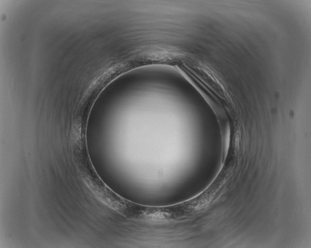 X0000086070407200703301111