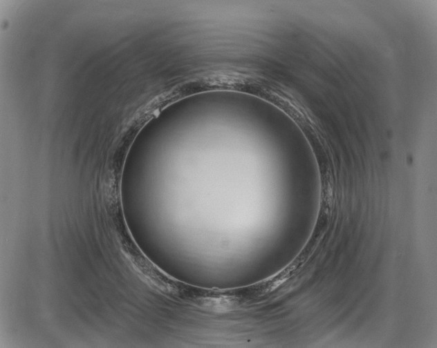 X0000086070411200703301111