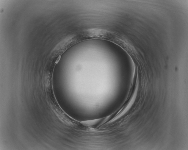X0000086070413200703301111