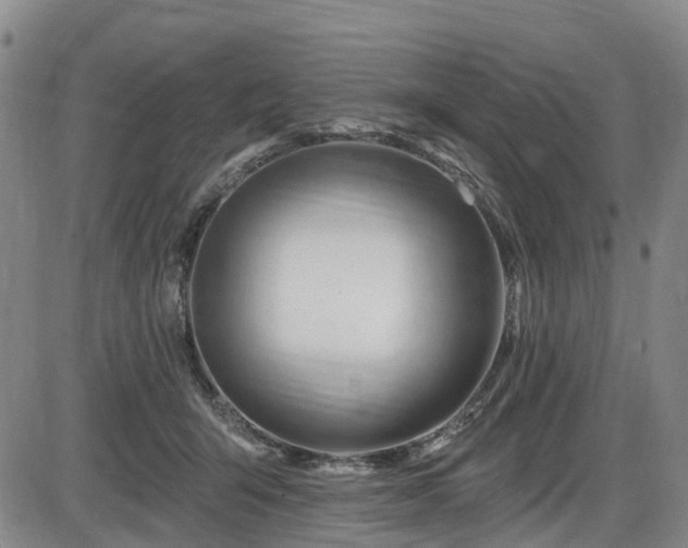 X0000086070415200703301111