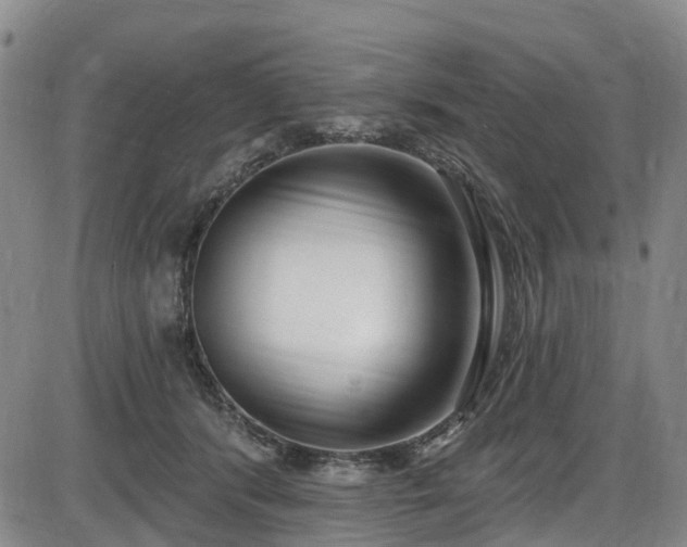 X0000086070416200703301111