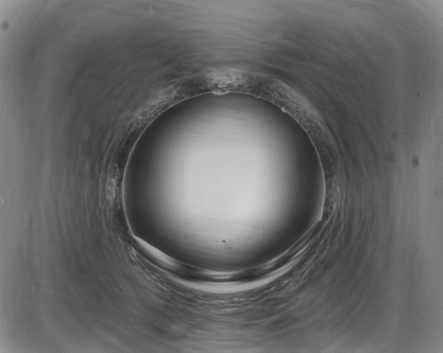 X0000086070417200703301111