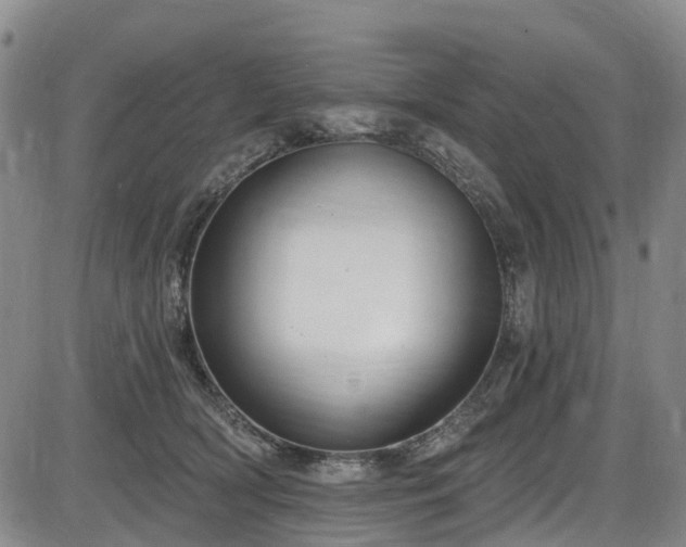 X0000086070418200703301111