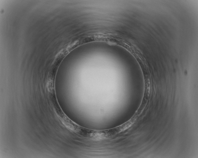 X0000086070419200703301111
