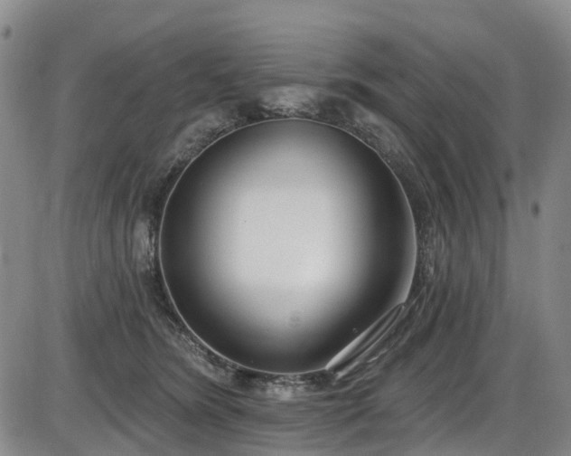 X0000086070420200703301111