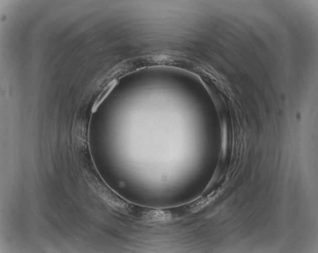 X0000086070421200703301111