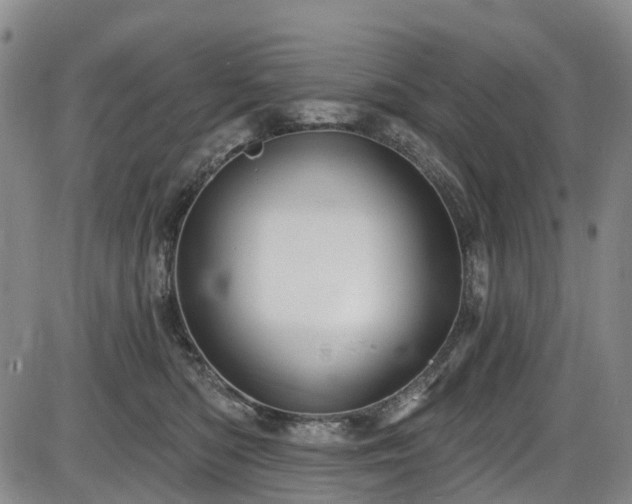 X0000086070422200703301111