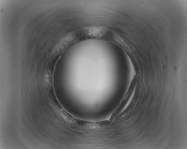 X0000086070424200703301111