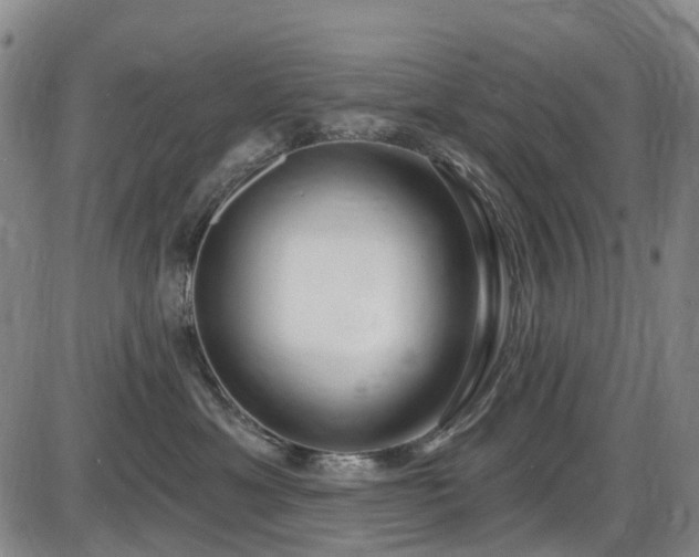 X0000086070429200703301111