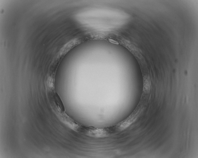 X0000086070431200703301111